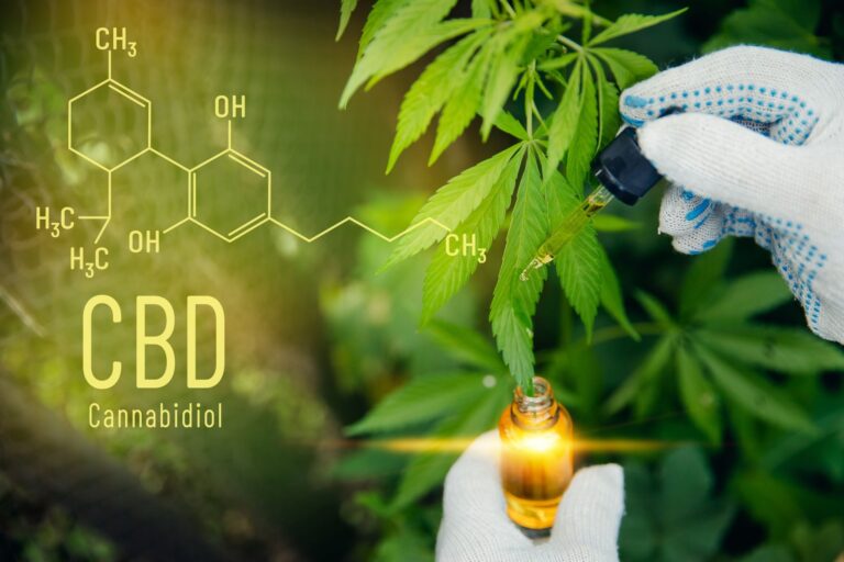 The Comprehensive Guide to CBD Cannabis: Benefits, Uses, and More